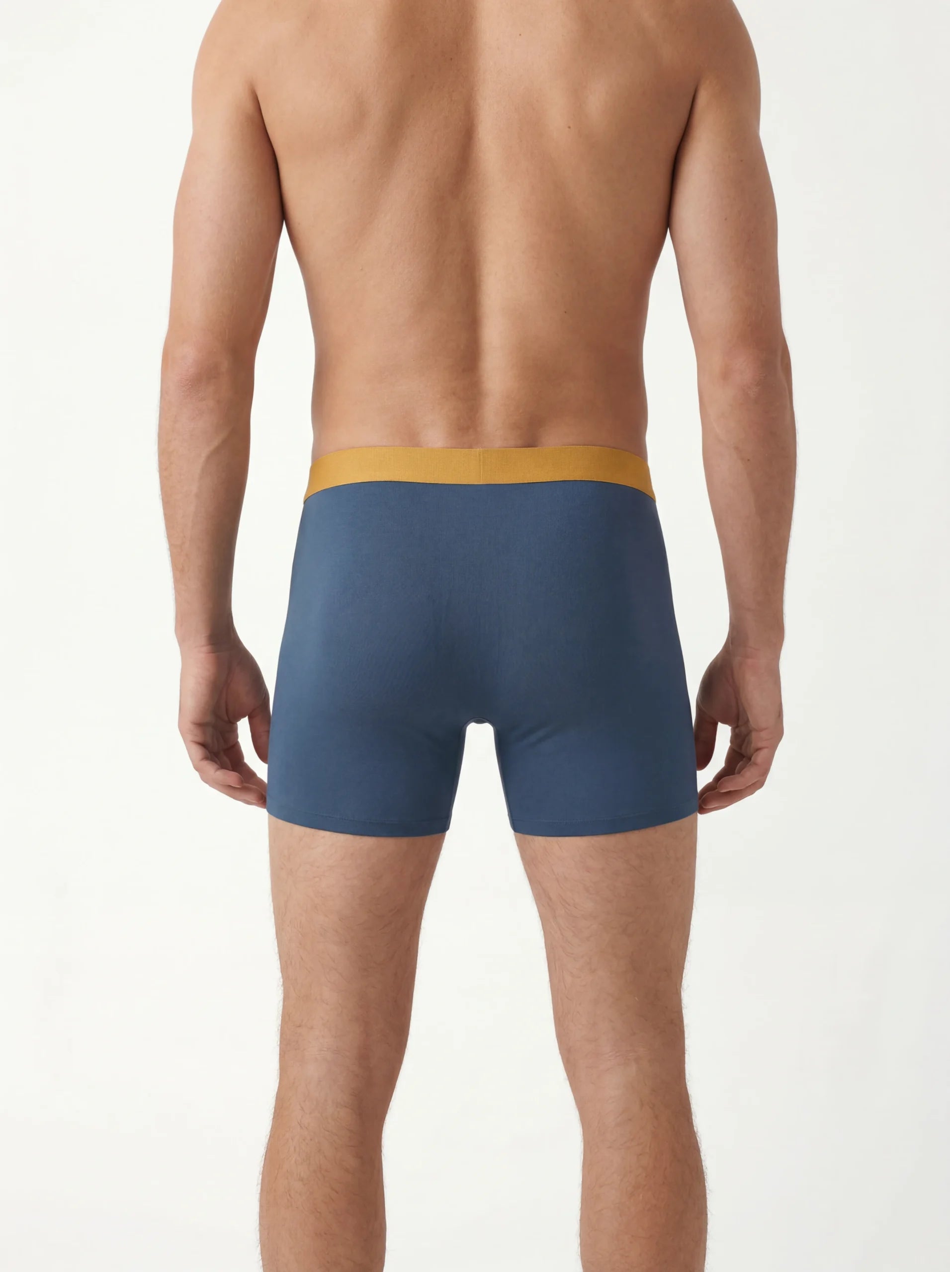 Everlooms BambooCool Training Boxer