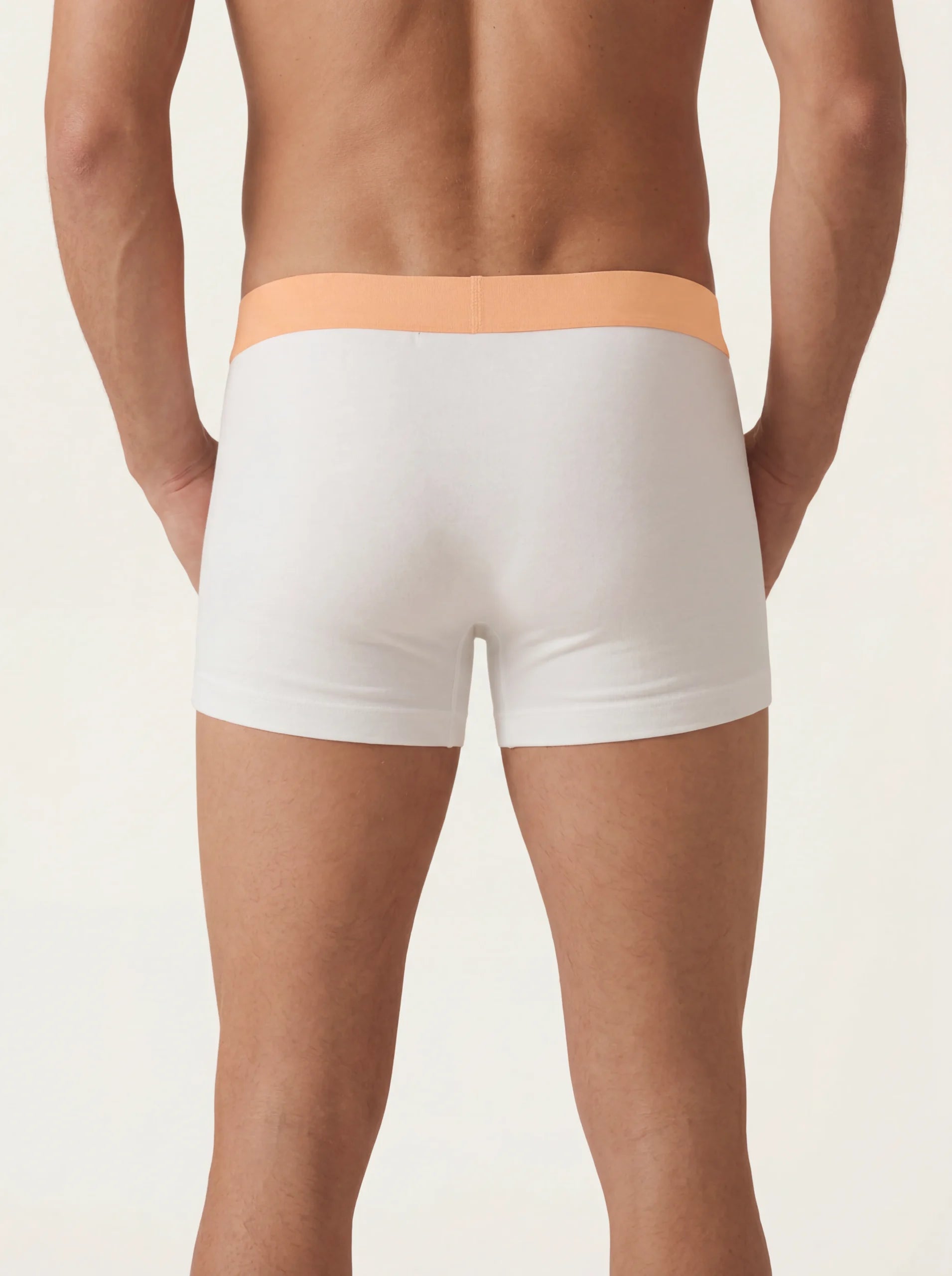 Everlooms CottonCore Elite Boxer Brief