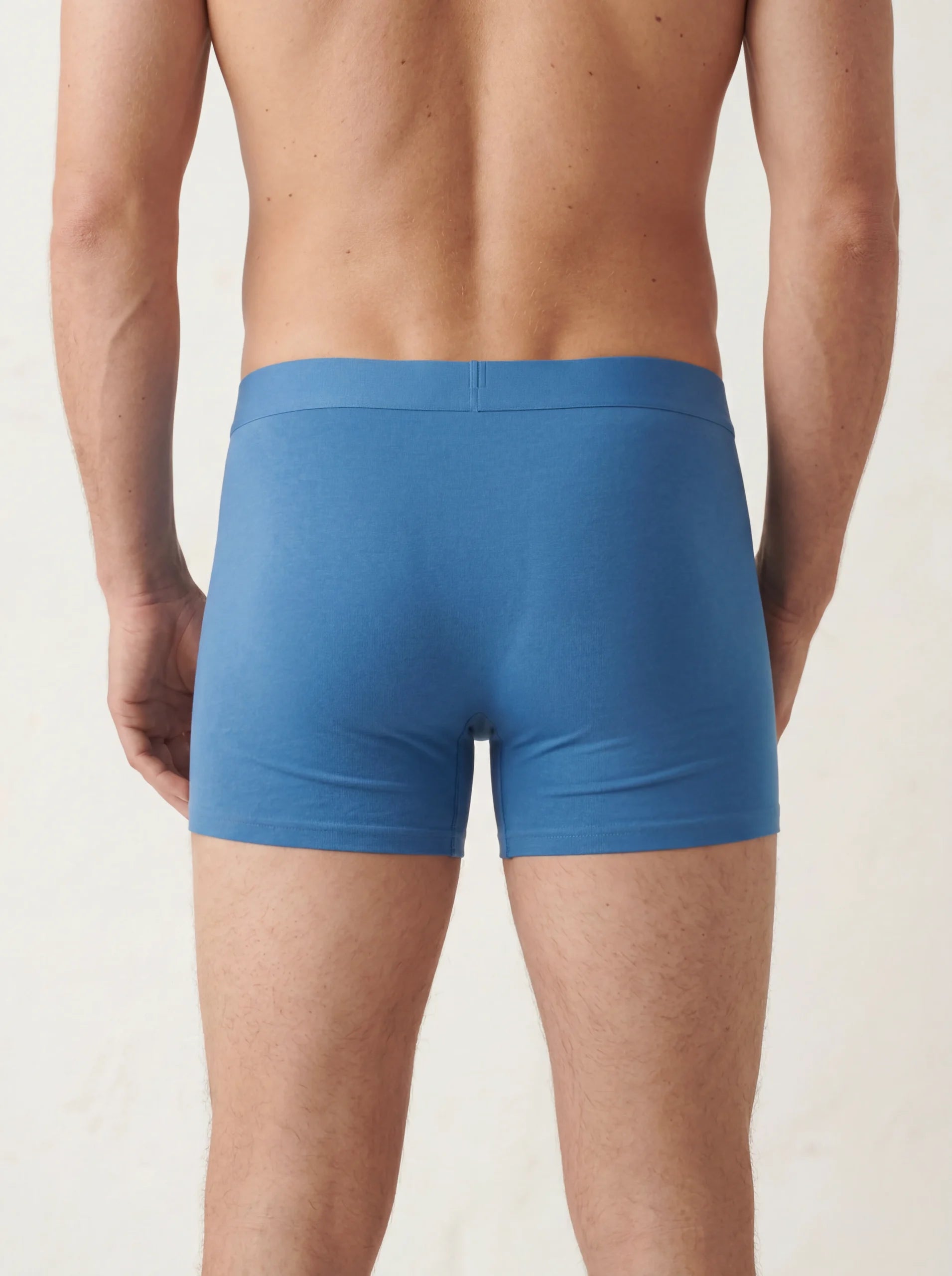 Everlooms ModalEase Luxe Boxer Brief