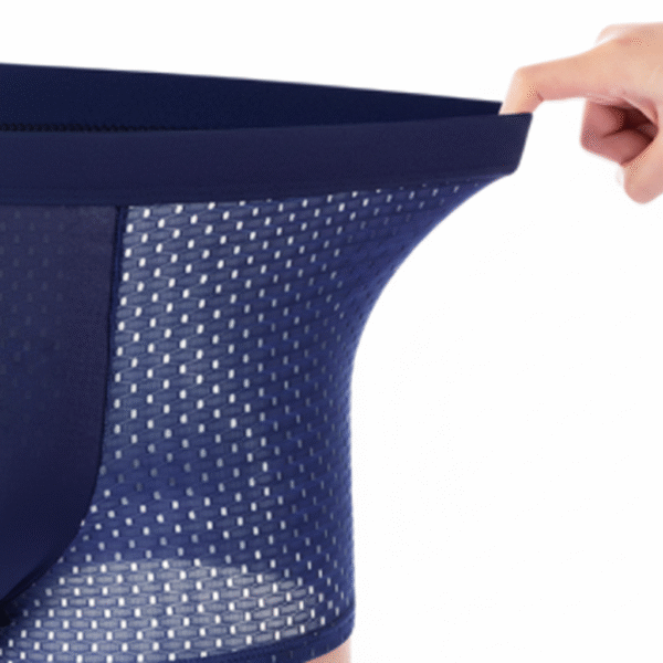 Ice Milk Mesh Boxer