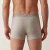 Smart Photo Edit 02 Everlooms IceVeil Elite Boxer Brief